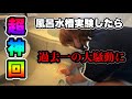 超悲劇な超神回 伝説を増やす漢 風呂水槽実験したら過去一の大騒動に マティアス ツイキャス ふわっち 切り抜き 神回 実験