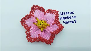 Цветок из бисера в технике плетения ндебеле. Часть 1.