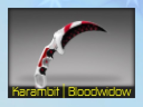 Cb Ro I Unboxed A Karambit Bloodwidow By Andrew - roblox cbro p2000 d