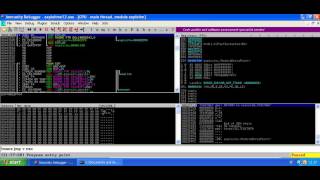 Celebrity Vulnerable C Learning Software - Solution Part 3 Net Worth