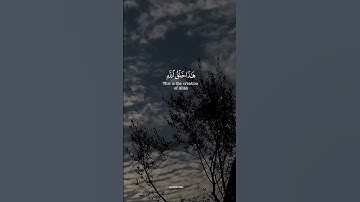 #سورة_لقمان #ياسر_الدوسري #قرآن #اكسبلور #راحة_نفسية #حالات_واتس #لايك @Quranic.Message.1
