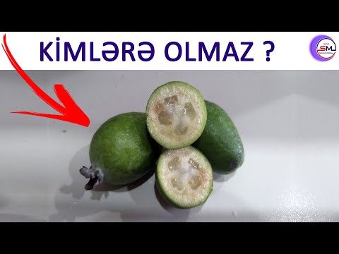 Video: Meyvənin yetişməsinə nə kömək edir?