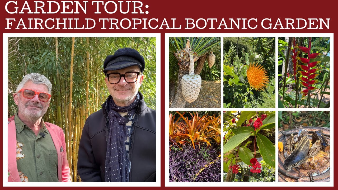 Экскурсия по садам: тропический ботанический сад Фэйрчайлда в Майами!