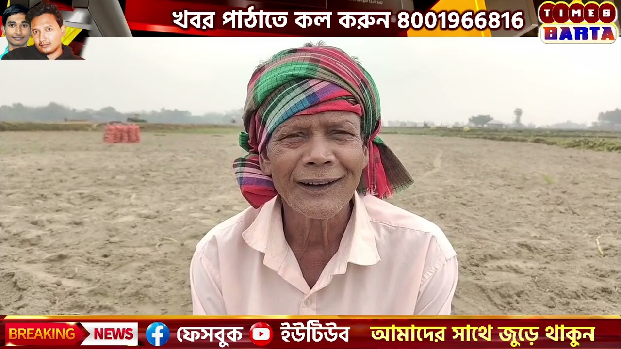 মাঠ ভরা পাকা আলু, সামনে বৃষ্টির আশঙ্কা—দাম না থাকায় চরম দুশ্চিন্তায় কৃষক