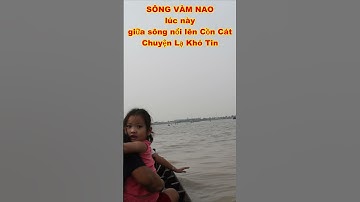 CHUYỆN LẠ KHÓ TIN SÔNG VÀM NAO NỔI LÊN CỒN CÁT đầu tiên trong đời duy mới thấy #shorts