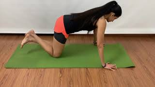 Pushups for beginners (In Hindi)