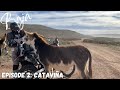 Bikes in Baja Episode 2: Catavina