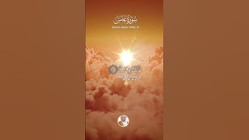 "فلينظر الإنسان إلى طعامه" سورة عبس SURAH ABASA #عبدالولي_الاركاني #abdulwali_alarkani
