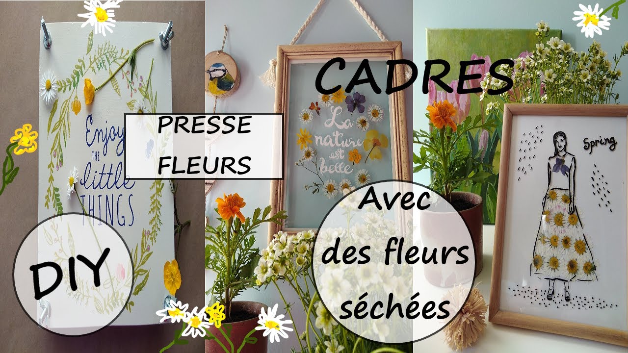 Lot De 4 Tableaux Vintage : Fleurs Sauvages Pressées Sous Cadre (années 70/80)