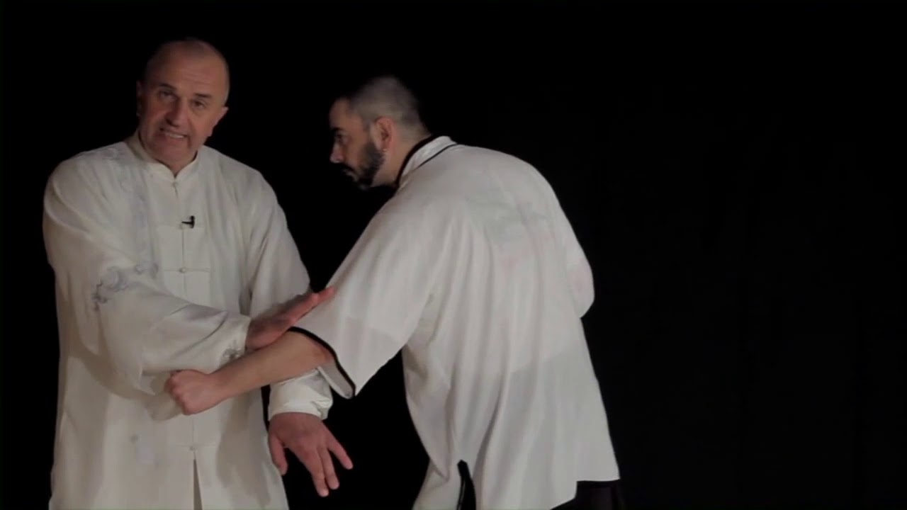 Applications martiales multiples style Yang 