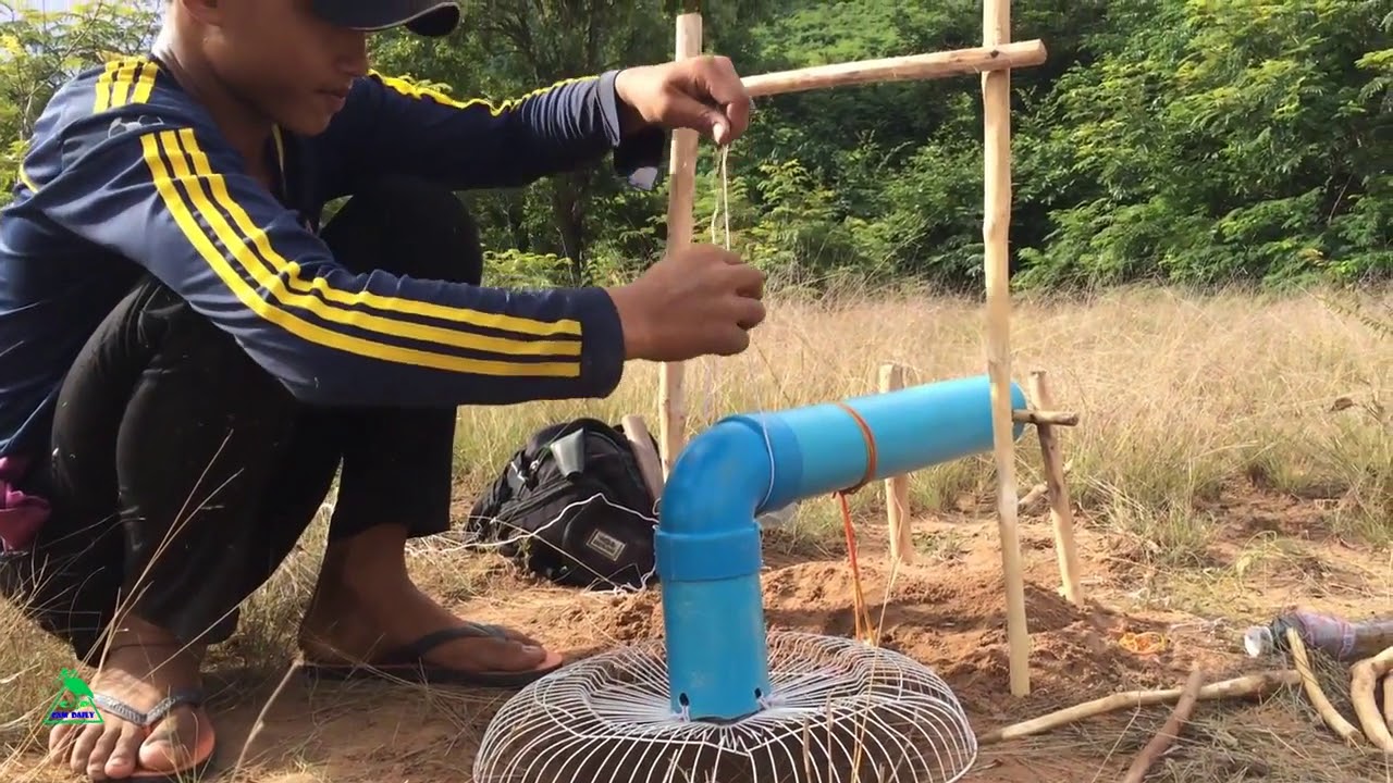 Awesome Quick Bird Trap & Easy Deep Hole Using PVC And Electric Fan Guard That Work 100%