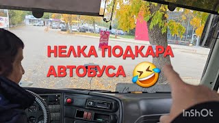 видео: ОТИВАМЕ ДО ЕМКО И ГО ИЗПИСВАТ ОТ БОЛНИЦАТА 🥳 картинка: ОТИВАМЕ ДО ЕМКО И ГО ИЗПИСВАТ ОТ БОЛНИЦАТА 🥳