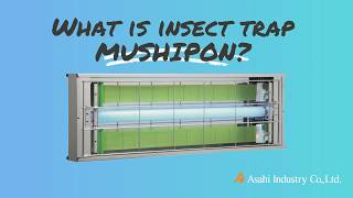 Glue tape type Insect catcher Mushipon
