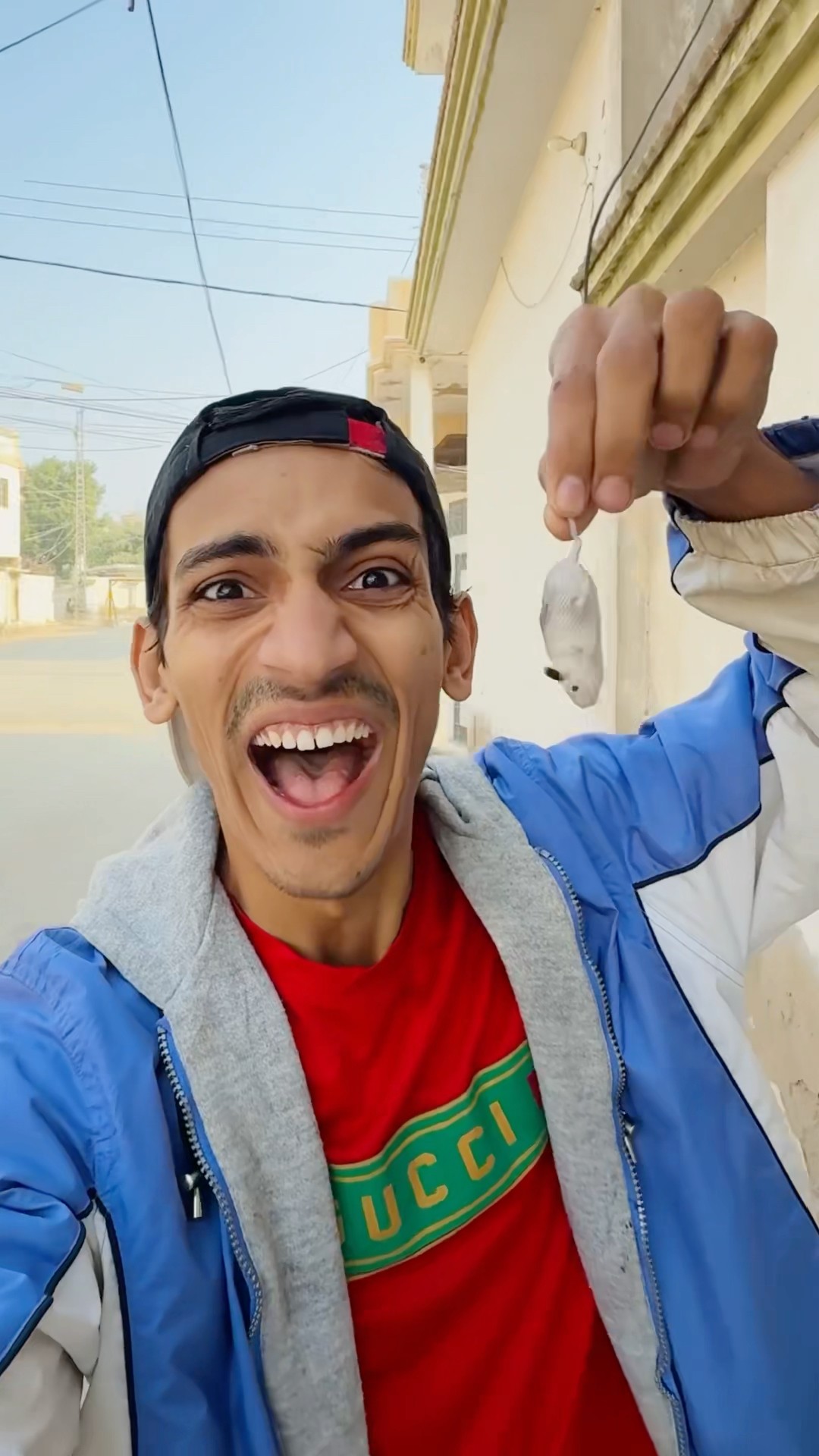 Rat ? Dancing In Trend ?|