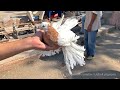 Птичий рынок г. Ташкент - ГОЛУБИ (28.08.2021) / Uzbek Pigeons