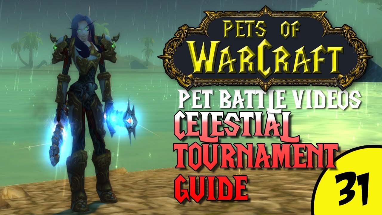 PetsOfWarCraft Video 31 - Patch 5.4 Celestial Tournament Guide - World of Warcraft Vlog