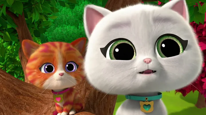 Watch the video about The Kitties Meet Ruby The Pink Burmese Cat!