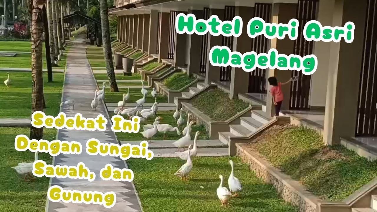 REVIEW HOTEL PURI ASRI MAGELANG. SEDEKAT INI DENGAN ALAM. SELALU INGIN BALIK LAGI