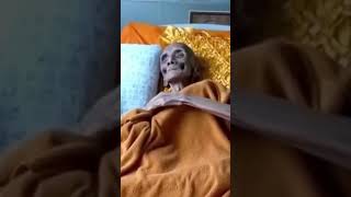 Java Programmer Turns 31 | #programmerhumor #programmerjokes  #funnyshorts