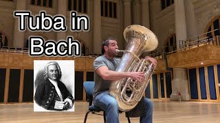 Bach Cello Suíte 2 : Sarabande - tuba solo Resimi