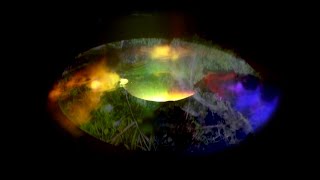 Cryptic: Primordial Waters Revisited