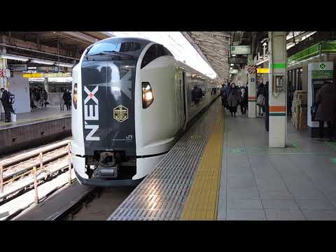 E259系　6両編成　臨時特急　マリンエクスプレス踊り子79号　東京駅発車
