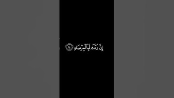 سورة الفجر - فهد عبدالعزيز