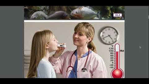 Unit 2 Lesson 2 L & L Read Aloud