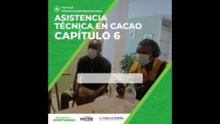 ASISTENCIA TÉCNICA EN CACAO  CAPÍTULO 6