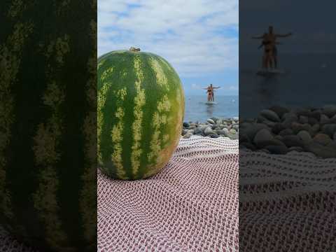 Не умею выбирать арбуз, но знаю, как выбрать пленку #shorts