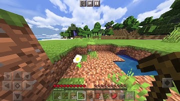 How to spawn entity 303 in minecraft pocket edition