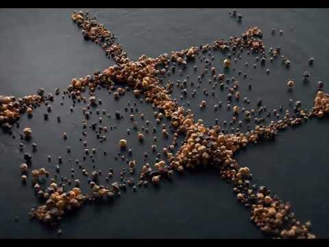Houdini Cymatics pattern animation