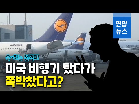 美비행기서 소란 피우다 &amp;#39;벌금폭탄&amp;#39;…고지서 열어보니 / 연합뉴스 (Yonhapnews)
