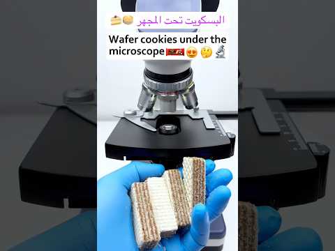بسكويت تحت المجهر اكسبلور  ترند شورت