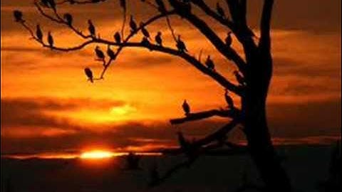 الشيخ محمد الدهاس من أية  1 إلى 31سورة النحل عام 1433هـ