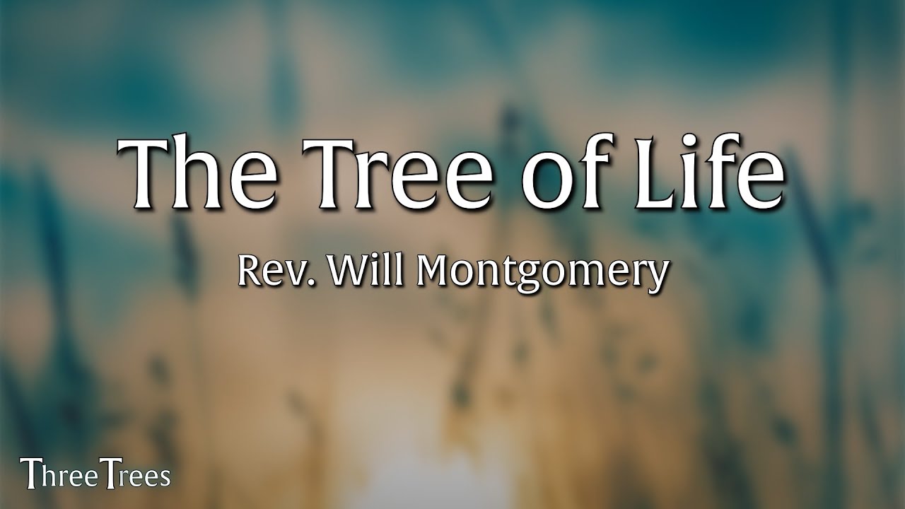 Three Trees: The Tree of Life - Rev. Will Montgomery