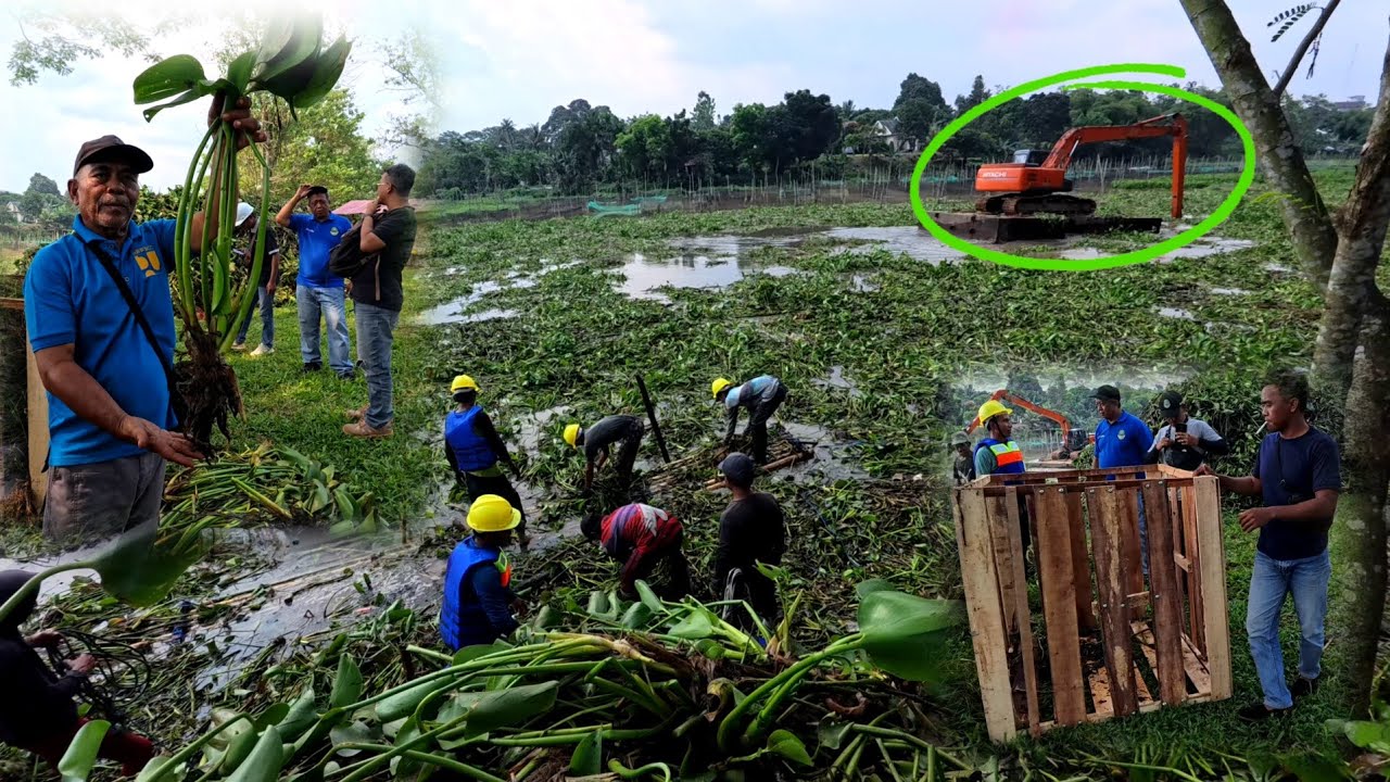  JENIS TUMBUHAN LIAR SITU CILALA || UPDATE NORMALISASI HARI KE 4