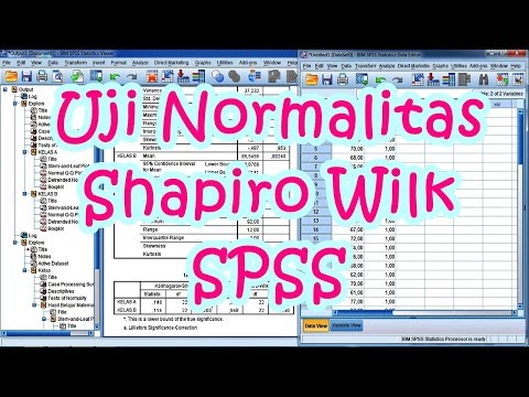 Uji Normalitas Shapiro Wilk untuk Statistik Parametrik dengan SPSS