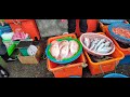 Breakfast feast! Fishermen's catch direct to your table, the seafood freedom paradise of the fishing