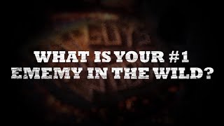 You Asked Creek Answered - What is your Enemy in the Wild