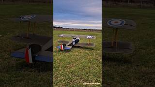 RC Hangar 9 ‘Sopwith Camel’ Taxis on Grass. #rcplane #sopwithcamel #hangar9 #rcairplane #rcaviation