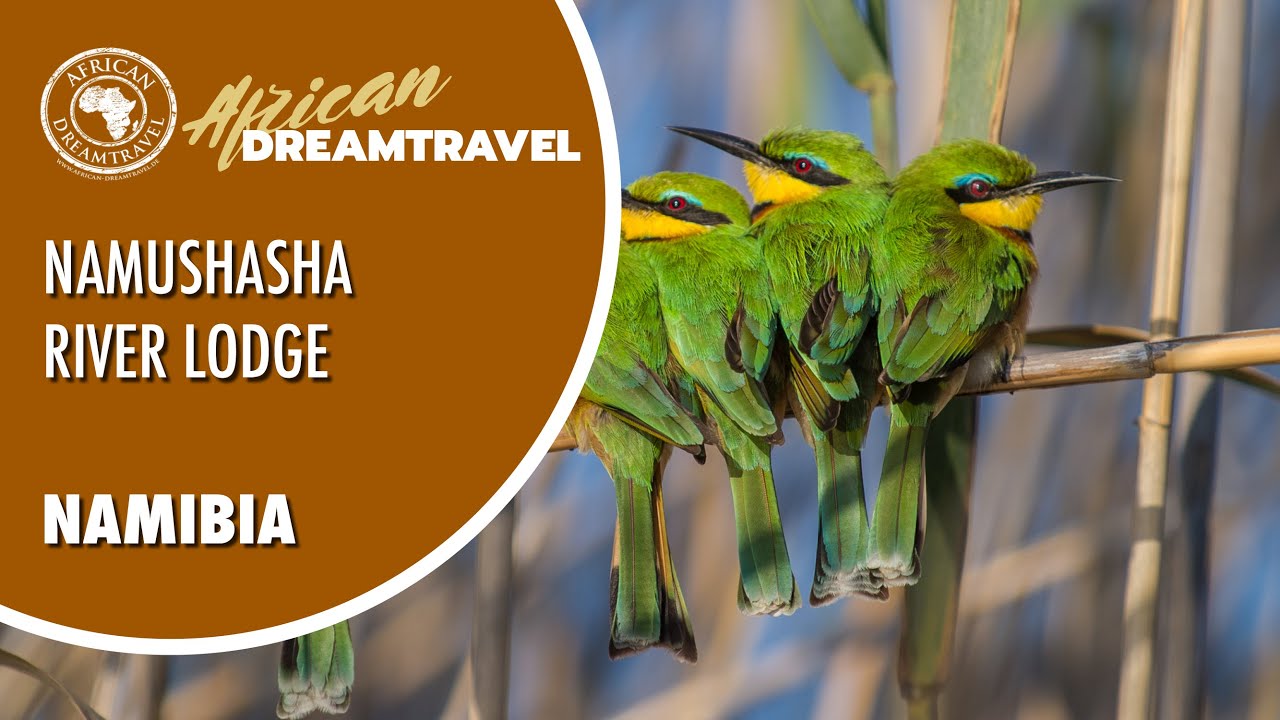Namushasha Lodge | Namibia Spezialisten | African Dreamtravel