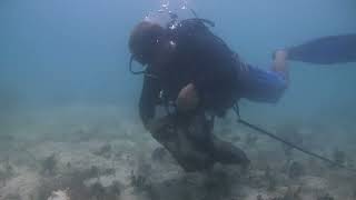 Essential Fish Habitats Series: Sandy and Muddy Seabed (w/subtitles)