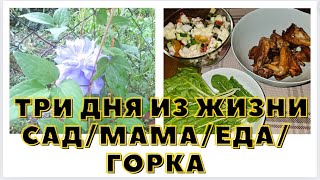 92-24! КАЛЕЙДОСКОП ТРЁХ ДНЕЙ: НОВОСТИ С ДАЧИ/ МАМА И ДОЛЛАРЫ/ КОПТИМ ПЛЕЧИКИ/ МАКСИМ НАЧАЛ ГОРКУ