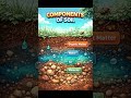 Components of soil #quiz #globalgoals #globalgoals #science #olevels #foryou