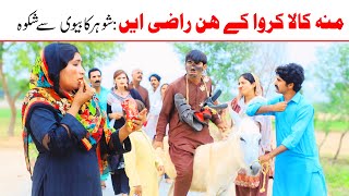 Bhotnashoki Bilo Ch Koki Cheena Sanam Mahi New Funny Video By Rachnavi Tv2