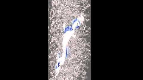 2d images to 3d reconstruction of image stacks of mouse brain tissue