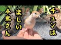 今日もいろいろ愉快です 【すずめ日記】