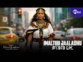 Imaltuu Jaaladhu መንገደኛው ፍቅር New Ethiopian Afan Oromo Music Official Music 2026