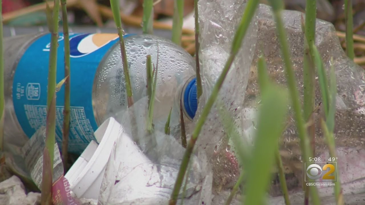 Who Do I Call About My Trash Not Being Picked Up Who Do I Call About My Trash Not Being Picked Up